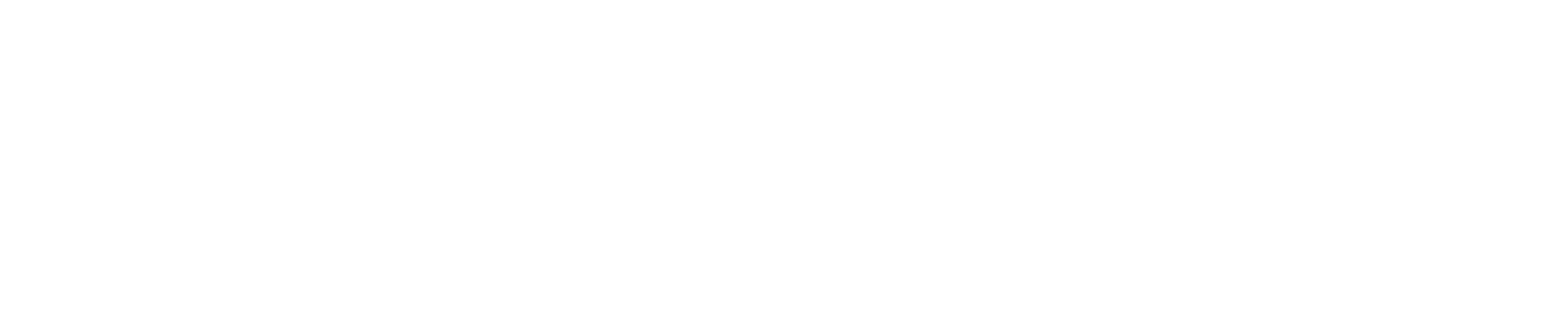 Logo espon stopka